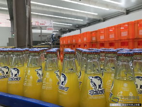 马鞍山再迎产业新动力 两大重点项目成功落户，总投资额达25亿元